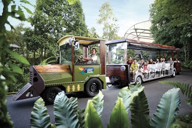 Входной билет в Сингапурский зоопарк, включая трамвай